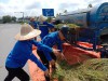 Sinh viên trường Đh Công nghiệp Quảng Ninh giúp gia đình chính sách thu hoạch lúa